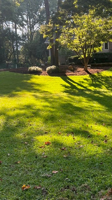 Emerald Pointe Landscape Project — photograph 15 of 18