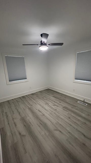 Walhalla Remodel — photograph 21 of 28