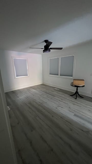 Walhalla Remodel — photograph 23 of 28